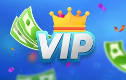 VIP and Loyalty Programs